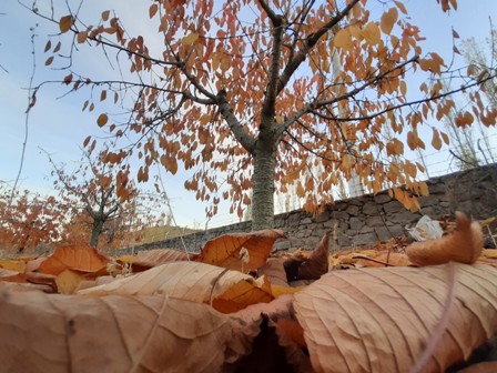 Afyonkarahisar’da kartpostallık fotoğraflar