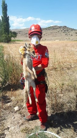 AKUT kuyuya düşen tilki için seferber oldu