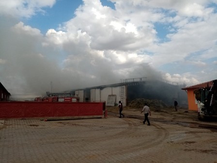 Bolvadin’de çiftlik yangını