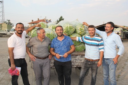 Fasulye fiyatlarında düşüş başladı