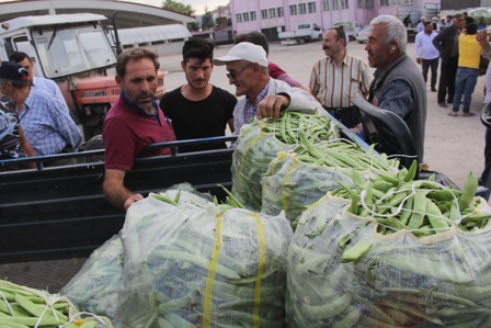Fasulye piyasası altın çağını yaşıyor