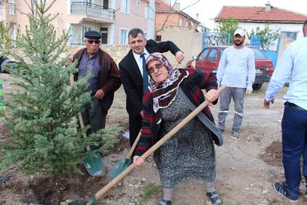 Fidanlar toprakla buluştu
