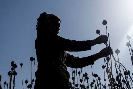 Fotoğraf sanatçısı Refik Gümüş ilk sergisini açtı
