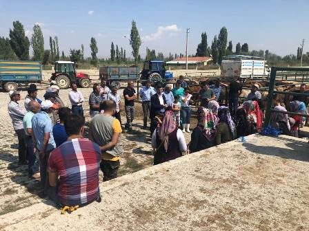 Genç Çiftçilere Büyükbaş Hayvan Dağıtımı yapıldı