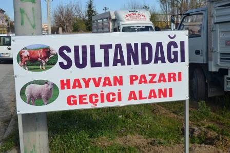 Hayvan Pazar açıldı