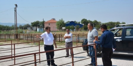 Hayvan pazarı kurban bayramına hazır