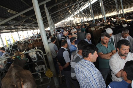 Hayvan pazarında kurban hareketliliği