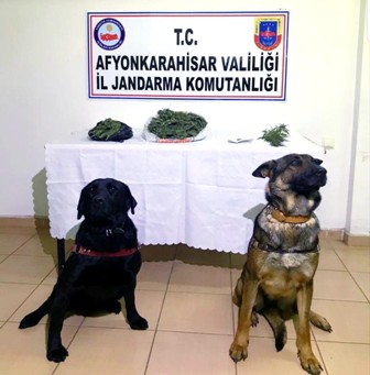 Jandarmadan uyuşturucu madde operasyonu