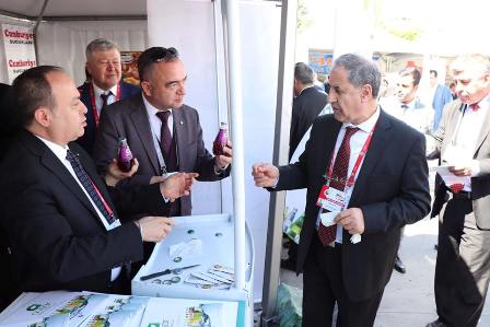 Merdivenci ve Serteser, Standın başına geçti