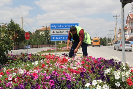 Şuhut'ta çiçekler açıyor