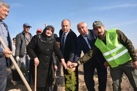 Sülümenli yeşilleniyor