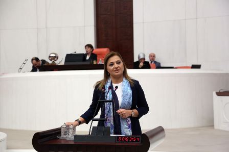 Suriye kökenli kaç kişiye vatandaşlık verildi?