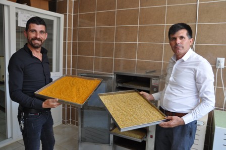 Taşoluk'tan Avrupa'ya polen ihracatı