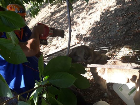 Tel arasına sıkışan köpeği AFAD kurtardı