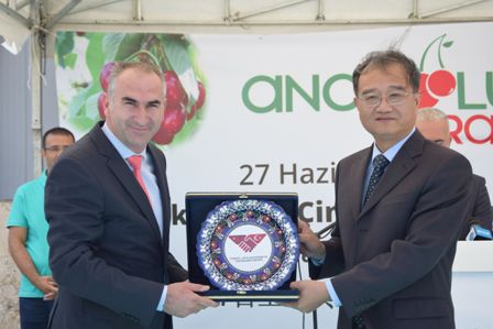 Türkiye'den Çin'e yılın ilk kirazı gönderildi