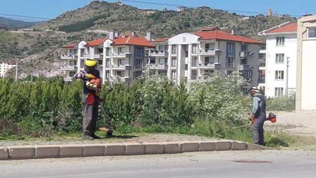Yemyeşil temiz bir Afyon