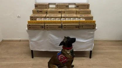 Dinar’da Otobüste Kaçak Av Tüfeği Fişeği Operasyonu: 10.000 Adet Fişek Ele Geçirildi