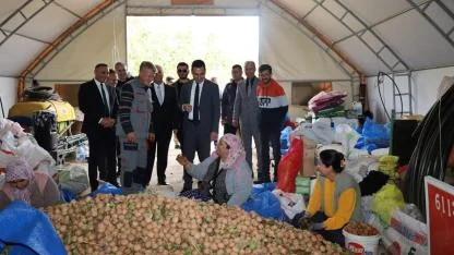 Dinar'ın Cevizi Yüz Güldürdü: Yapağlı'da Bereketli Hasat Coşkusu