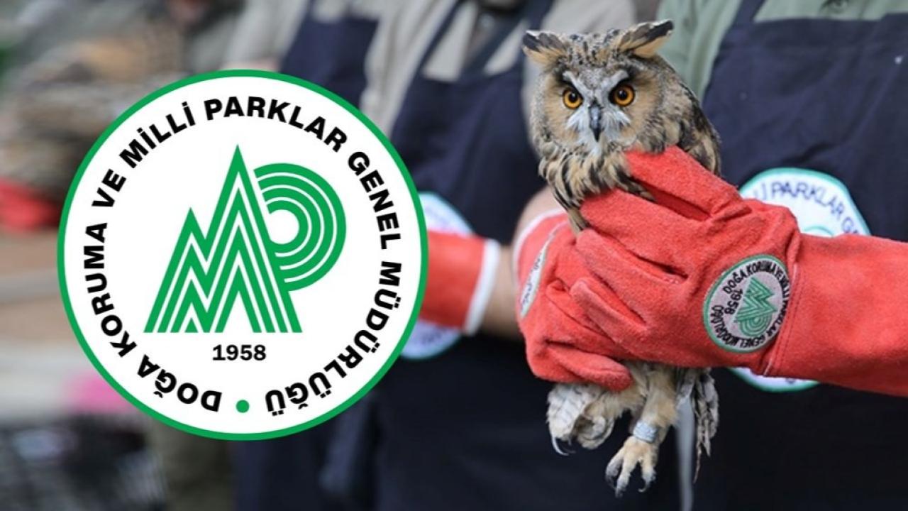 Doğa Koruma ve Milli Parklar Genel Müdürlüğü 240 Sözleşmeli Personel Alımı Başvuru Şartları ve Süreci Belli Oldu