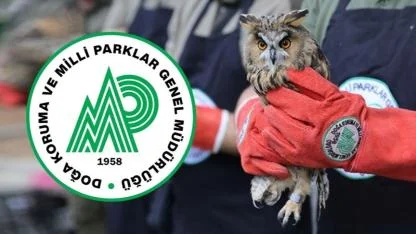 Doğa Koruma ve Milli Parklar Genel Müdürlüğü 240 Sözleşmeli Personel Alımı Başvuru Şartları ve Süreci Belli Oldu