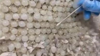Gelinlikteki Boncuklar Uyuşturucu Çıktı!