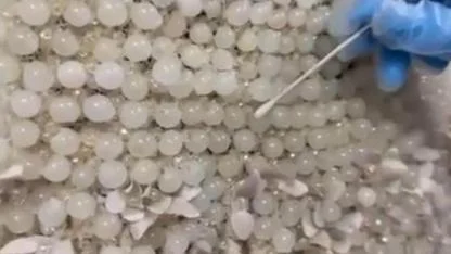 Gelinlikteki Boncuklar Uyuşturucu Çıktı!