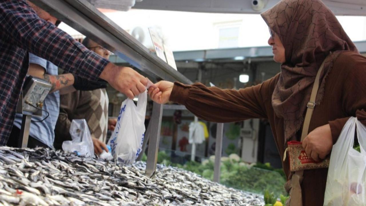 Hamside Tehlike Çanları! Av Miktarı Yarı Yarıya Düştü
