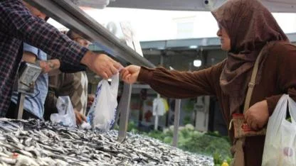 Hamside Tehlike Çanları! Av Miktarı Yarı Yarıya Düştü