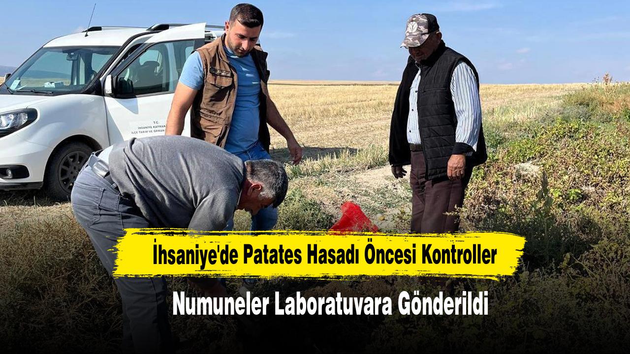 İhsaniye'de Patates Hasadı Öncesi İnceleme Yapıldı
