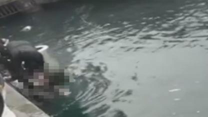 Kadıköy Rıhtım’da Engelli Arkadaşlarını Kurtarma Girişimi Facia ile Sonuçlandı: 1 Ölü, 3 Yaralı