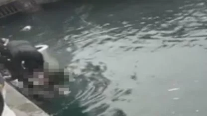 Kadıköy Rıhtım’da Engelli Arkadaşlarını Kurtarma Girişimi Facia ile Sonuçlandı: 1 Ölü, 3 Yaralı