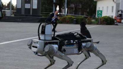 Milli Robot Köpek PROTEO 2026 Başında Göreve Hazır Olacak