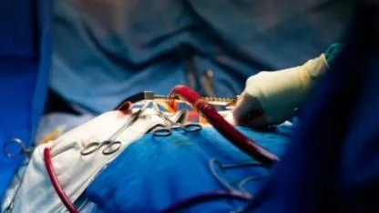 Organ Naklinde Devrim: Bilim İnsanları Kan Grubu A Olan Böbreği 0 Grubuna Dönüştürdü