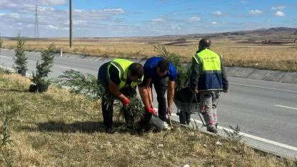 Başkan Koyuncu’dan Doğaya Dokunan Proje Çevre Yolunda Ağaçlandırma Hamlesi