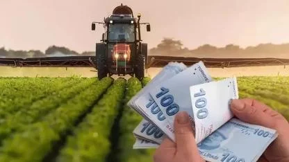 Tarımsal Destek Ödemeleri Hesaplara Aktarılıyor, Bakan Yumaklı Tarih Verdi!