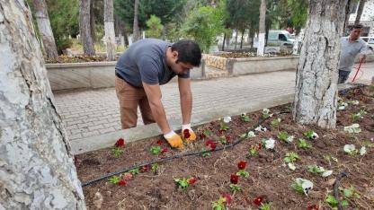 Sandıklı Belediyesi’nden Mezarlık Bakım Çalışmaları