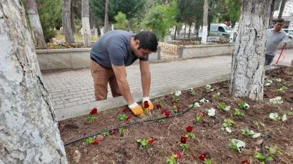 Sandıklı Belediyesi’nden Mezarlık Bakım Çalışmaları