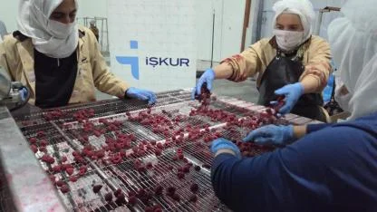 Afyonkarahisar İŞKUR’da Kadınlara Destek Çalışmaları Sürüyor