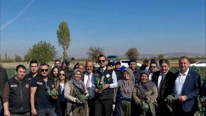 Sinanpaşa’da 431 Dekar Alanda Brokoli Hasadı Tamamlandı