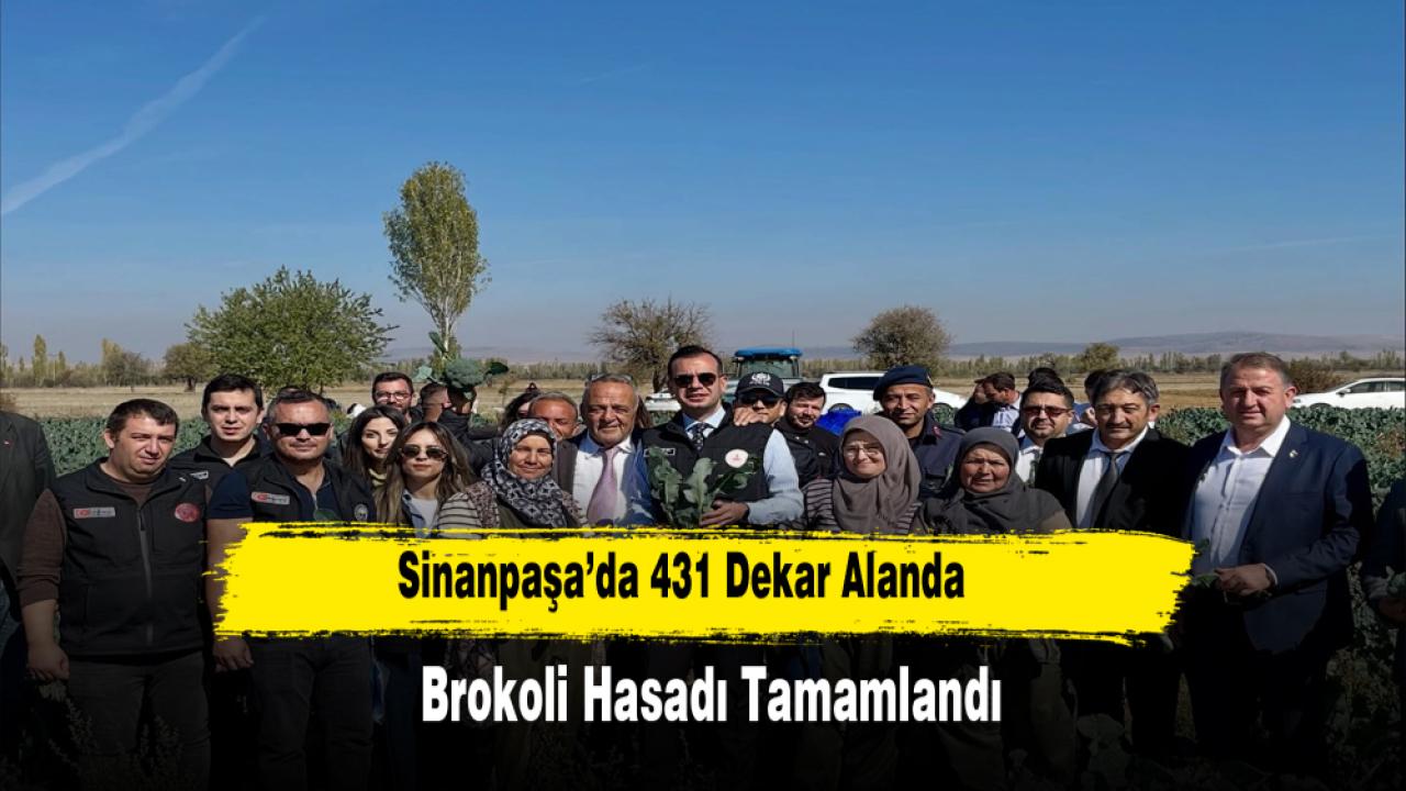 Sinanpaşa’da 431 Dekar Alanda Brokoli Hasadı Tamamlandı