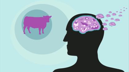 Türkiye Acı Gerçekle Yüzleşecek Mi? İlk Vaka Ortaya Çıkmış Olabilir