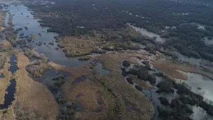 Türkiye’nin 3’üncü Büyük Longozu Kurudu: Ekolojik Felaket Kapıda!
