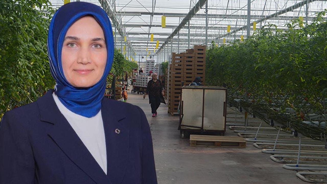 Vali Yiğitbaşı’nın Öncülüğündeki Dev Projede Yeni Aşama: Afyonkarahisar Jeotermal Seralar İçin Başvuruları Açtı