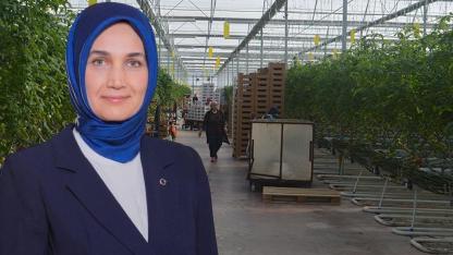 Vali Yiğitbaşı’nın Öncülüğündeki Dev Projede Yeni Aşama: Başvurular Başladı!