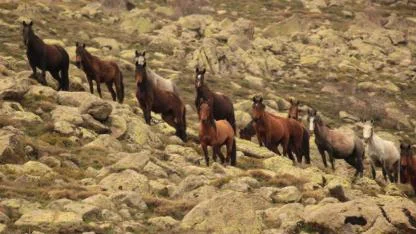 Afyon Kumalar Dağı’ndan Kartpostallık Anlar