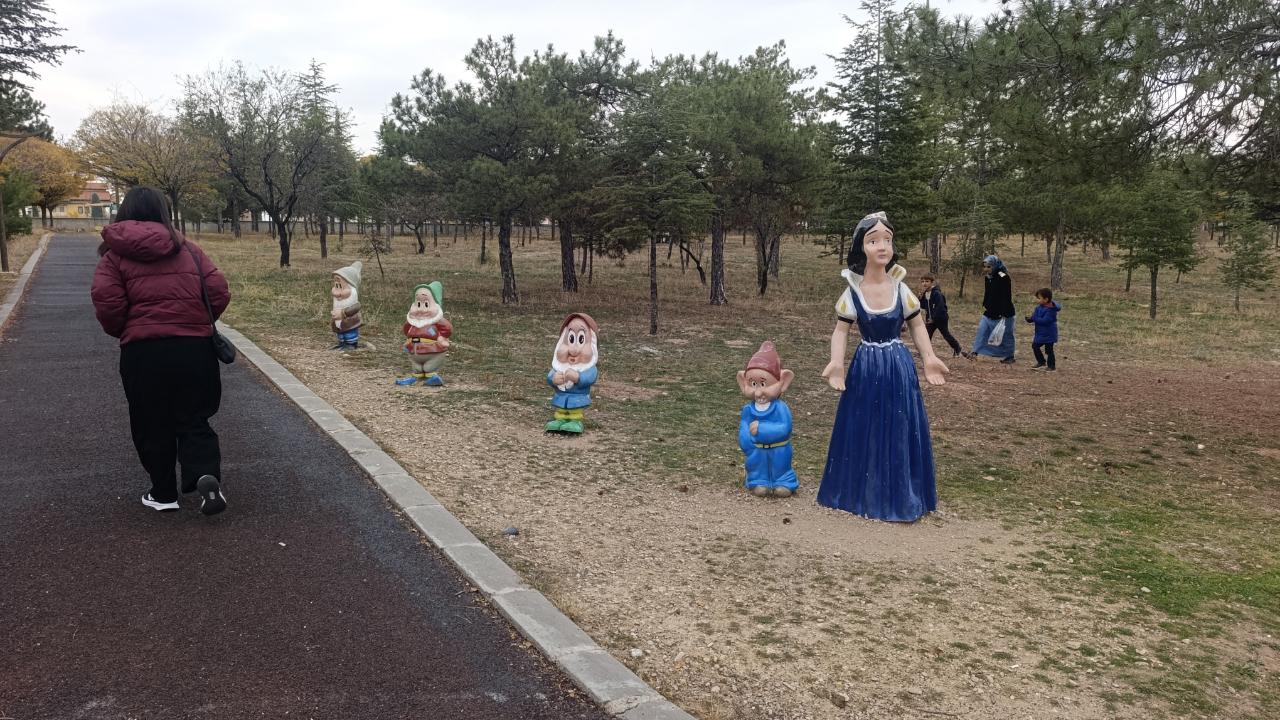 Afyon’da Pamuk Prensesin Cücelerini Çaldılar!