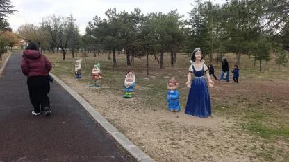 Afyon’da Pamuk Prensesin Cücelerini Çaldılar!