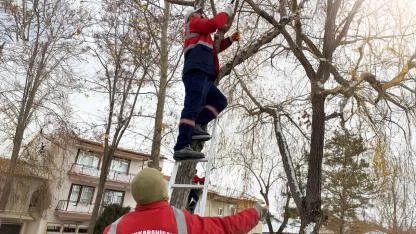 Afyonkarahisar Belediyesi'nden 28 Kasım - 4 Aralık Tarihleri İçin Kritik Duyuru