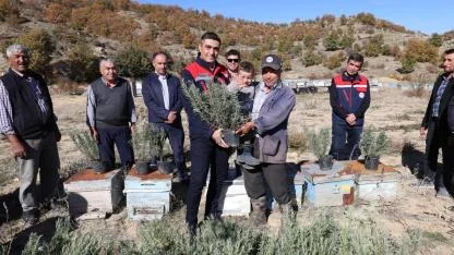 Afyonkarahisar’da Arıcılara Lavanta Fidesi Desteği