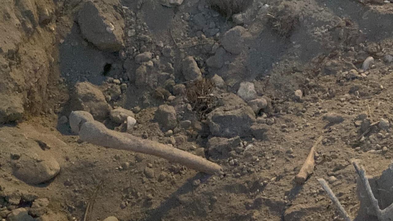 Belediyenin Kazı Çalışması Sırasında İnsan Kemikleri Bulundu